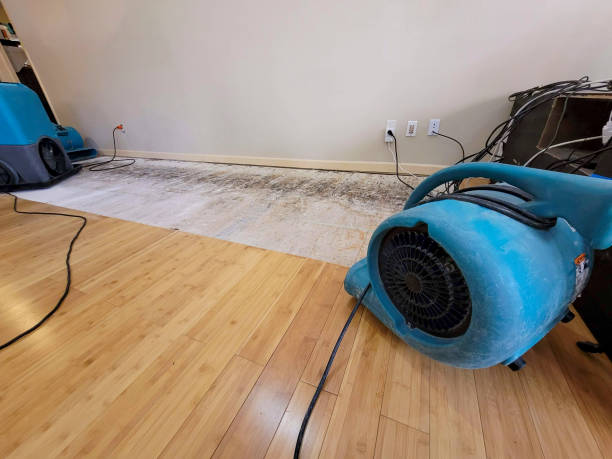 Professional Sewage Cleanup technician working in Stover, MO
